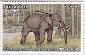 タイのアジアゾウ