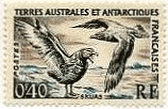 フランス領　南極　切手