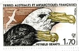 フランス領　南極　ジャイアント・ペトレル　切手