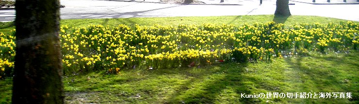 オランダは晴れが珍しい国だそうです。　アムステルダムは３月中旬には一斉に水仙とクロッカスの花が咲き乱れ楡の木が芽を吹きます