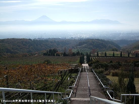 甲斐市のぶどう園と富士山