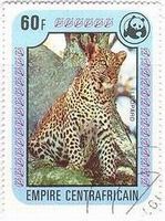 ヒョウ（leopard､中央ｱﾌﾘｶ,1978年）