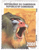 Baboon（カメルーン、1998年）　サル　マンドリル