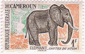 アフリカゾウ（カメルーン）