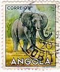 アフリカゾウ（アンゴラ、1953年)