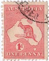 カンガルー　オーストラリア