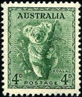 コアラ（オーストラリア）