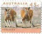 カンガルー（オーストラリア）