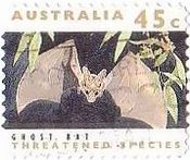 オーストラリアオオアラコウモリ　英名　Ghost Bat　学名　Macroderma gigas
