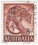 オーストラリアのTiger　Cat（山猫の一種）