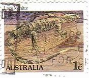 トカゲ（Lace　Monitor）　オーストラリア