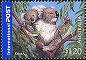 コアラ（オーストラリア、2005年）