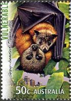 ハイガシラオオコウモリ（ｵｰｽﾄﾗﾘｱ、2007年）絶滅危惧種