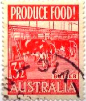 食糧増産（オーストラリア）バター製造　乳牛