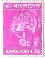 バングラデシュ（東パキスタン）のベンガルトラ