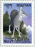 Mask Deer（ブータン、1999年）　鹿
