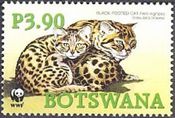クロアシネコ（ボツワナ、2005年）　野生の猫