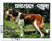 セントバーナード（ブータン）　犬