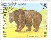 ヒグマ（羆、Brown Bear） Ursus arctos 