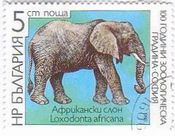 ゾウ（ブルガリア）　大型動物