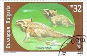 プロトケラトプス・アンドリューシ（Protoceratops） 