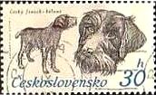チェコスロバキアの狩猟犬（1973年）　チェコ・テリア