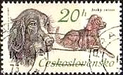チェコスロバキアの狩猟犬（1973年）　アイリッシュ・セッター