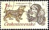 チェコスロバキアの狩猟犬（1973年）　コッカー・スパニエル