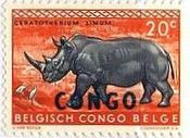 ベルギー領コンゴのサイ