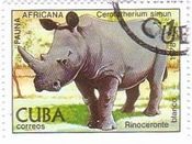 ハバナ動物園のサイ（キューバ、1978年）