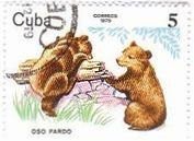 動物園のクマの兄弟（キューバ、1979年）