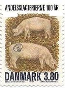 デンマークの養豚業　ブタ　動物