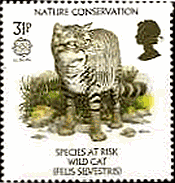 ヨーロッパ山猫（イギリス､1986年）　自然保護
