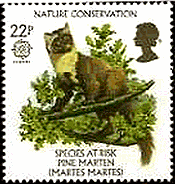 ヨーロッパテン（イギリス、1986年）　自然保護