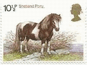 イギリスの馬（1978年）　シェットランド・ポニー