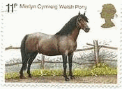 イギリスの馬（1978年）　ウェルシュマウンテンポニー