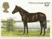 イギリスの馬（1978年）　サラブレッド