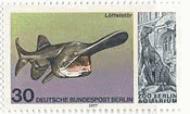 西ドイツベルリンの水族館の生物　ヘラチョウザメ（Mississippi paddlefish）