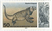 西ドイツベルリンの水族館の生物　サイイグアナ（Rhinoceros iguana）