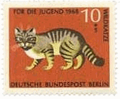 野生の猫（ベルリン､1968年）　wildcat