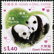 パンダ（中国香港、2007年）