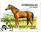 アゼルバイジャンの馬達（1993年）　北コーカサス品種・Kabarda