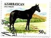 アゼルバイジャンの馬達（1993年）　Qarabair馬