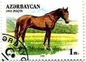 アゼルバイジャンの馬達（1993年）　Don・ドン馬 