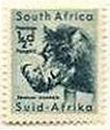 イボイノシシ（warthog、南アフリカ、1954年）