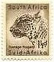 ヒョウ（南アフリカ、1954年）