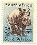 シロサイ（南アフリカ、1954年）