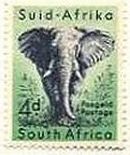 アフリカゾウ（南アフリカ、1954年）