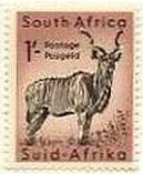 Kudo：クドゥ（偶蹄目 ウシ科 ウシ亜科 ネジレツノレイヨウ族）　南アフリカ
