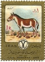 ペルシャロバ（Onager、イラン、1974年）
